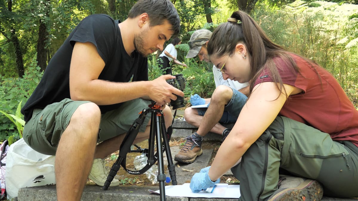 Young researchers at work