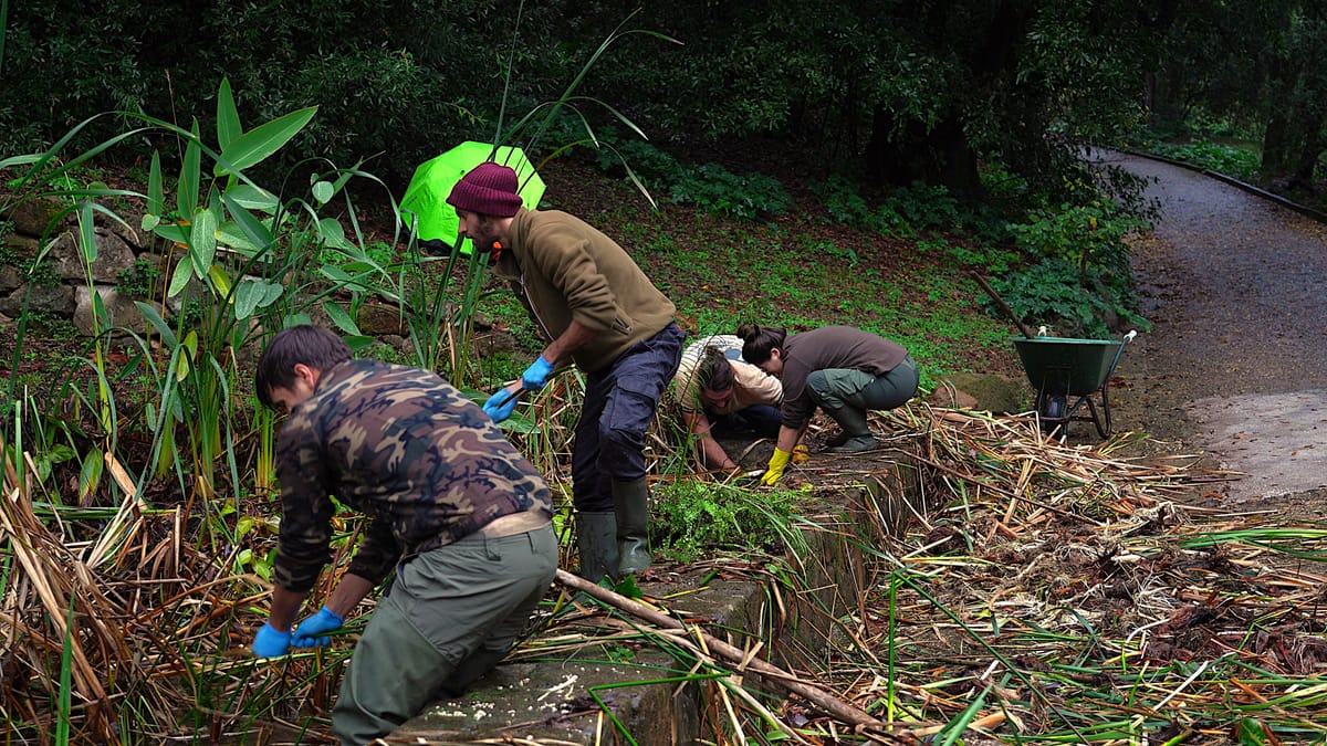 The importance of action in conservation: the example of the ARCA Project at the Botanical Garden in Rome