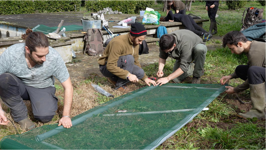 A turbulent spring: a review of the ARCARoma project over the past few months