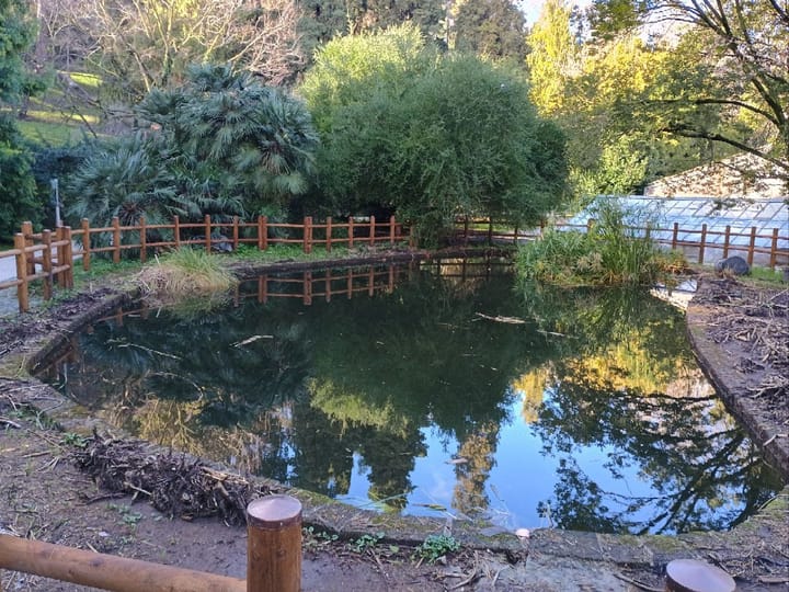 Silence is golden (but fieldwork is even more so)